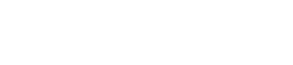 Zoom-logo-white3